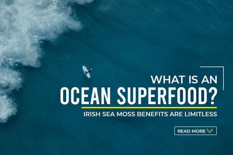 What is an Ocean Superfood -Irish Sea Moss Benefits are limitless