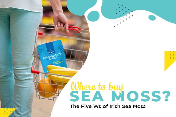Where to Buy Sea Moss