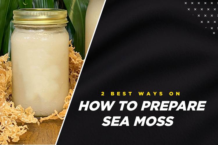 2 Best Ways On How To Prepare Sea Moss - Earthbal